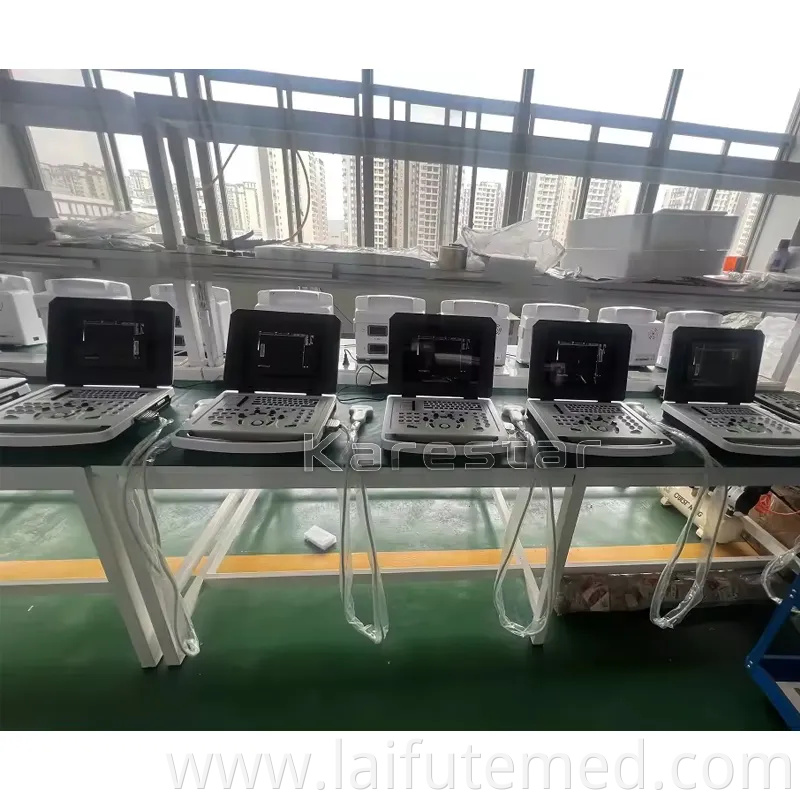 Veterinary Digital Ultrasonic Diagnostic Imaging System Portable Laptop B/W Handheld Ultrasound